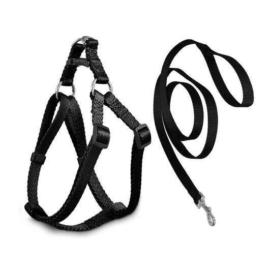 Pet Dog Leash with Harass Assorted Colours